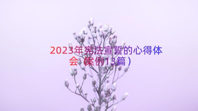 2023年宪法宣誓的心得体会（案例13篇）