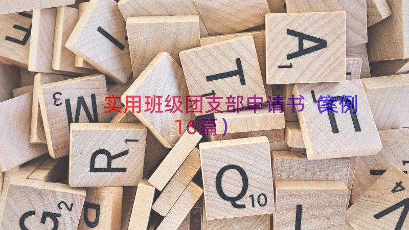 实用班级团支部申请书（案例16篇）