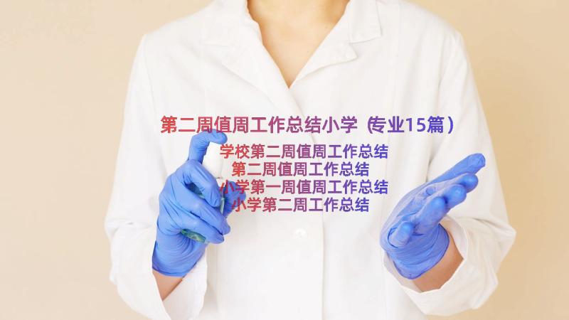 第二周值周工作总结小学（专业15篇）