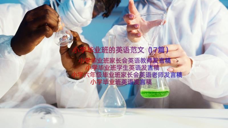 小学毕业班的英语范文（17篇）