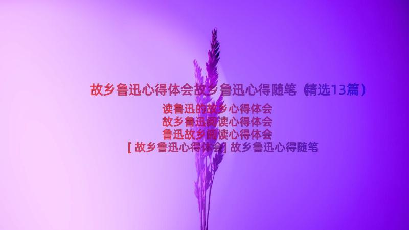 故乡鲁迅心得体会故乡鲁迅心得随笔（精选13篇）