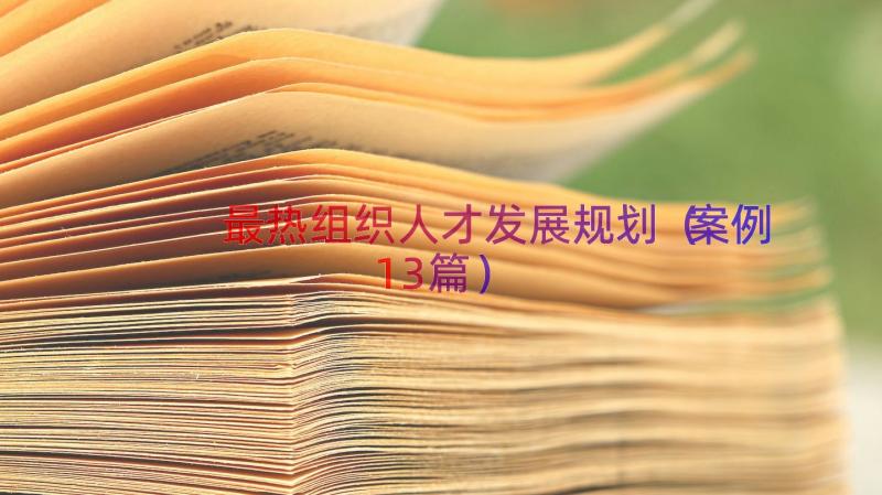 最热组织人才发展规划（案例13篇）