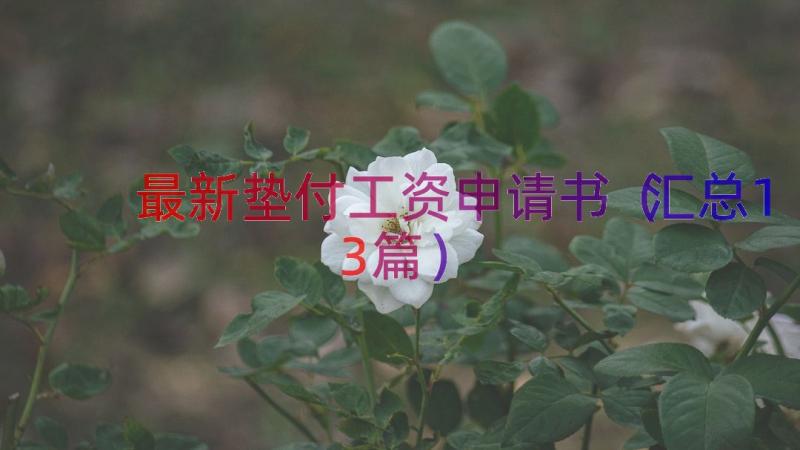 最新垫付工资申请书（汇总13篇）