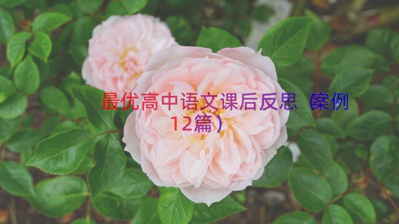 最优高中语文课后反思（案例12篇）