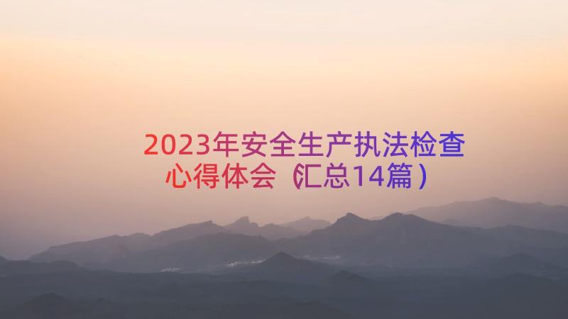 2023年安全生产执法检查心得体会（汇总14篇）