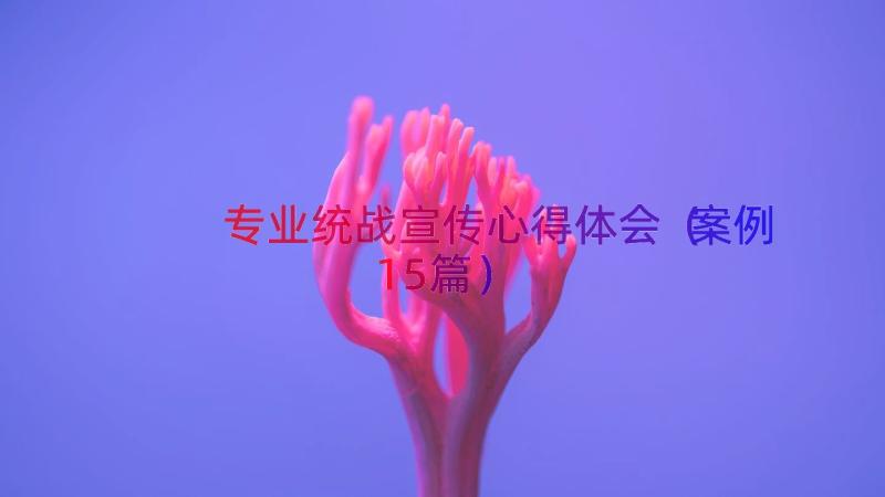 专业统战宣传心得体会（案例15篇）