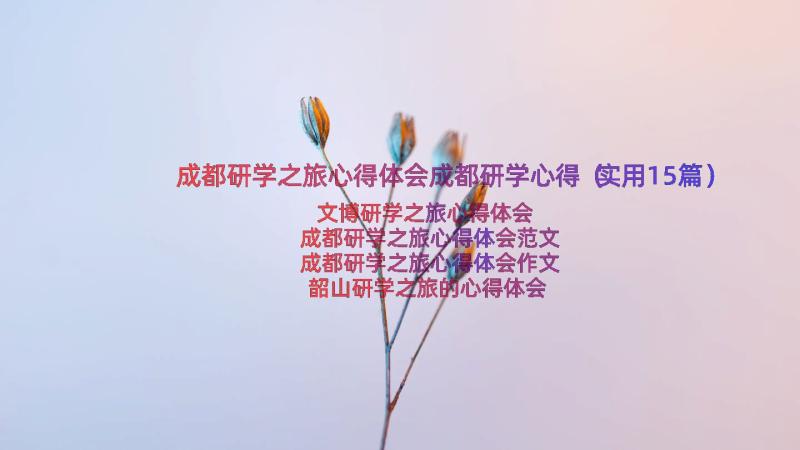 成都研学之旅心得体会成都研学心得（实用15篇）