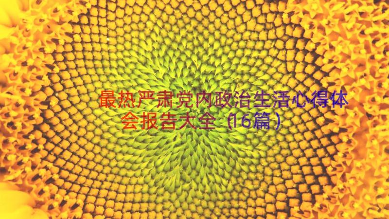 最热严肃党内政治生活心得体会报告大全（16篇）