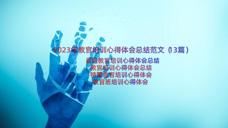 2023年教官培训心得体会总结范文（13篇）