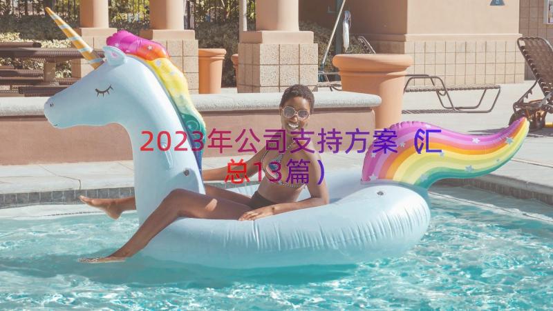 2023年公司支持方案（汇总13篇）