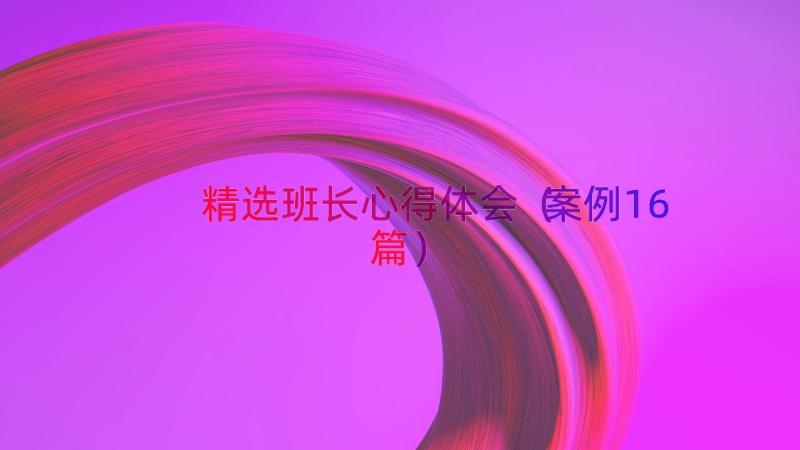 精选班长心得体会（案例16篇）