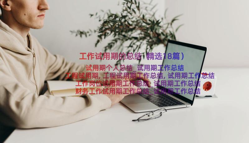 工作试用期的总结（精选18篇）