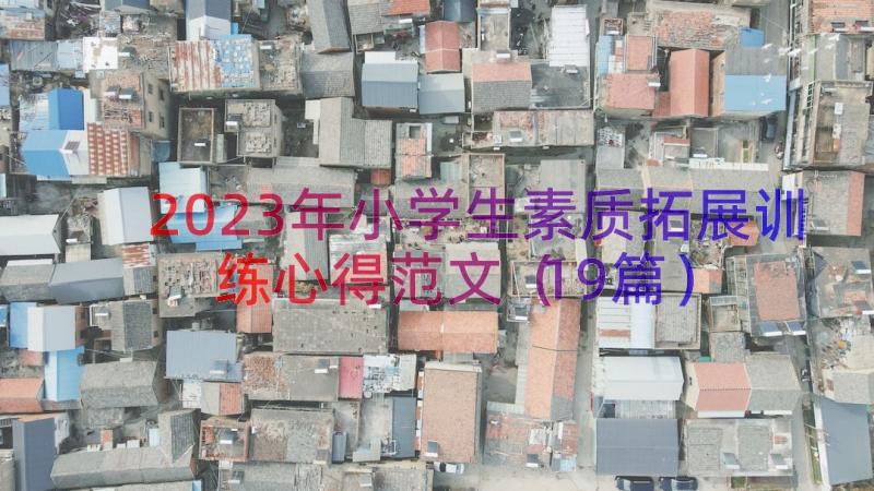 2023年小学生素质拓展训练心得范文（19篇）