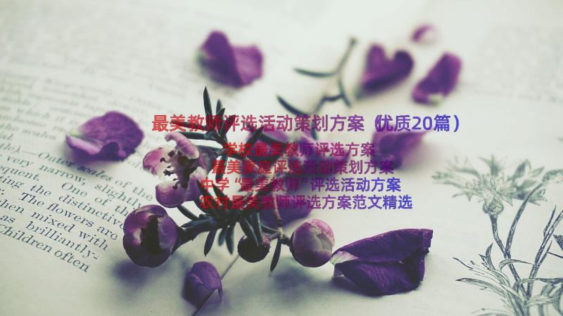 最美教师评选活动策划方案（优质20篇）