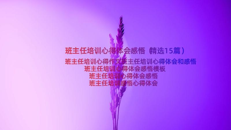 班主任培训心得体会感悟（精选15篇）