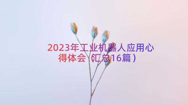 2023年工业机器人应用心得体会（汇总16篇）