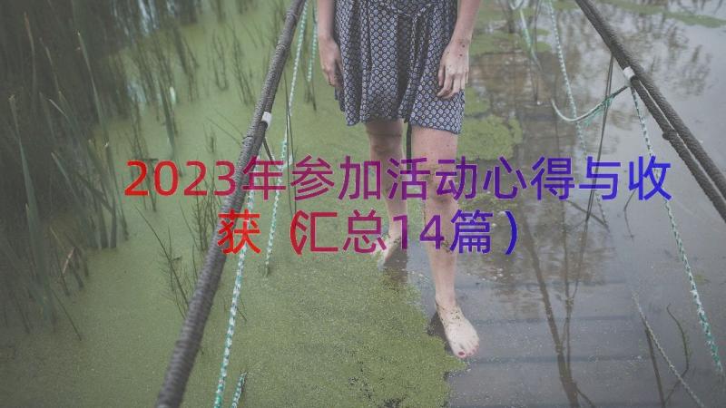 2023年参加活动心得与收获（汇总14篇）