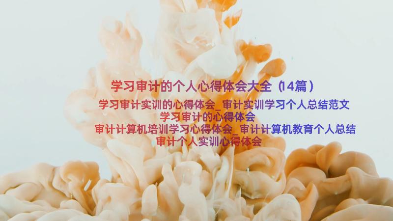 学习审计的个人心得体会大全（14篇）