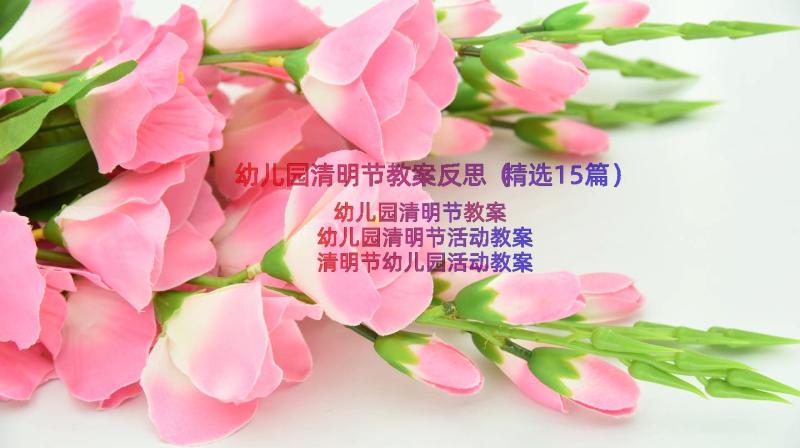 幼儿园清明节教案反思（精选15篇）