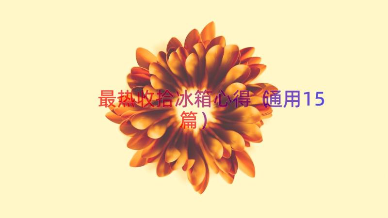 最热收拾冰箱心得（通用15篇）