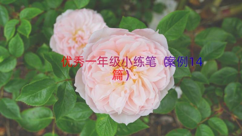 优秀一年级小练笔（案例14篇）