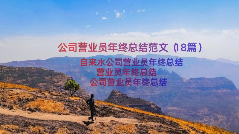 公司营业员年终总结范文（18篇）