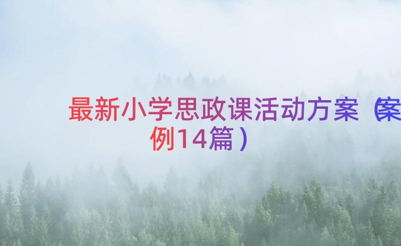 最新小学思政课活动方案（案例14篇）