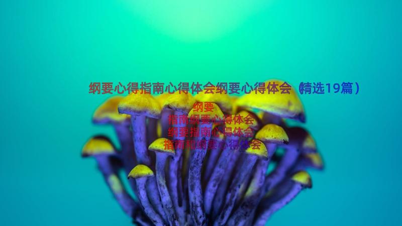 纲要心得指南心得体会纲要心得体会（精选19篇）