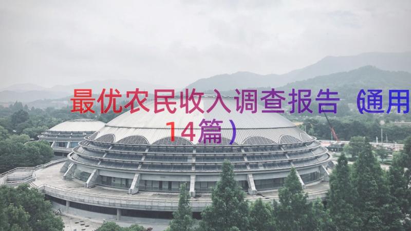 最优农民收入调查报告（通用14篇）