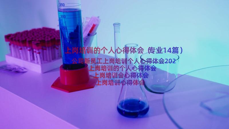 上岗培训的个人心得体会（专业14篇）