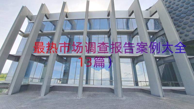 最热市场调查报告案例大全（13篇）