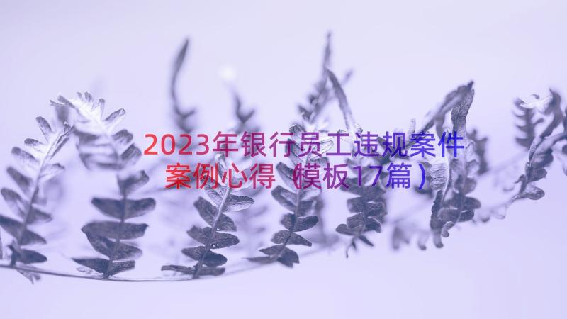 2023年银行员工违规案件案例心得（模板17篇）