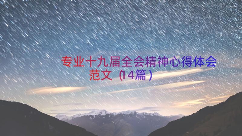 专业十九届全会精神心得体会范文（14篇）