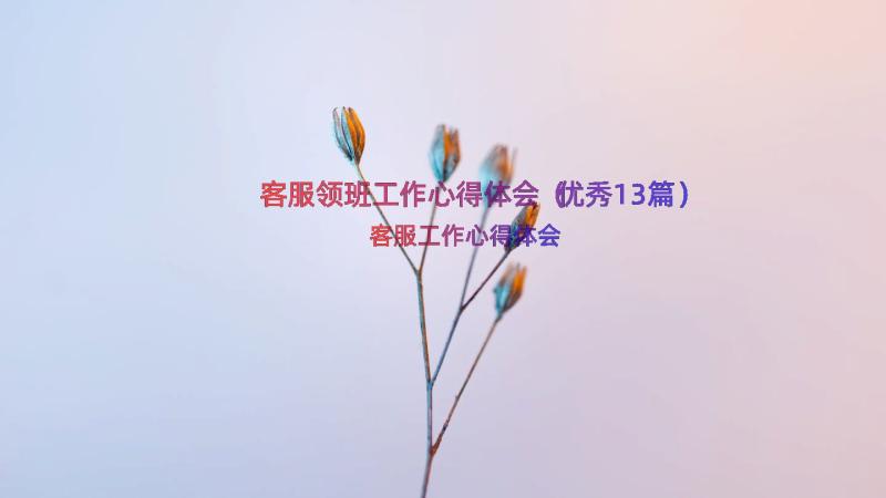 客服领班工作心得体会（优秀13篇）