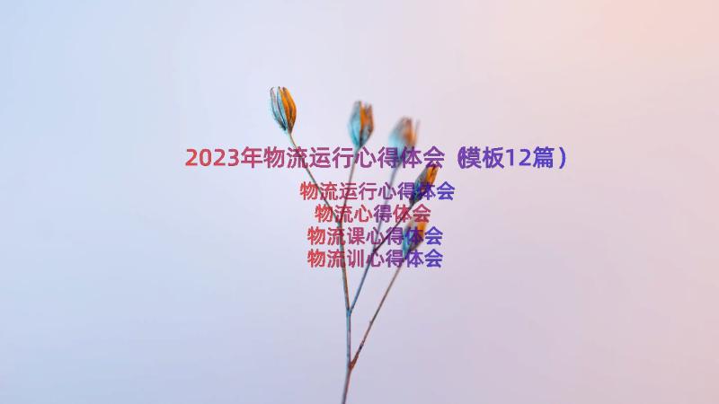 2023年物流运行心得体会（模板12篇）