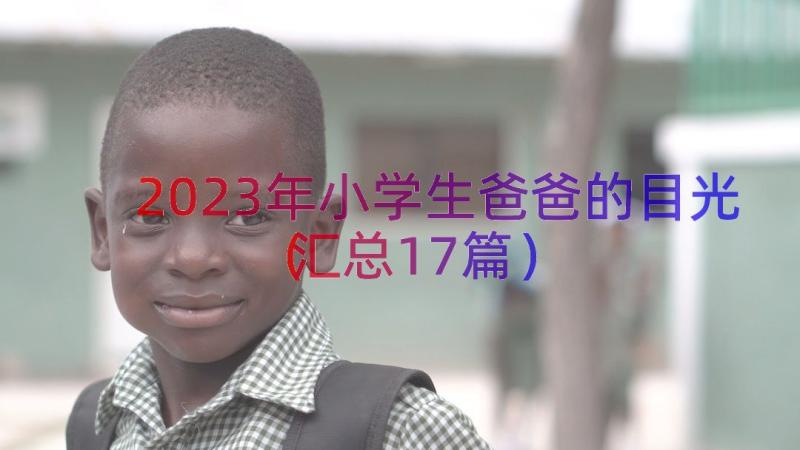 2023年小学生爸爸的目光（汇总17篇）