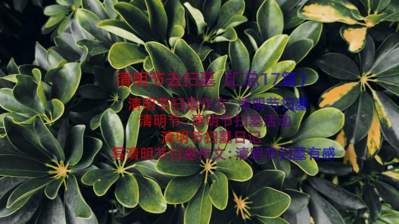 清明节去扫墓（汇总17篇）