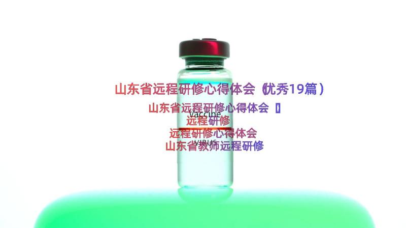 山东省远程研修心得体会（优秀19篇）