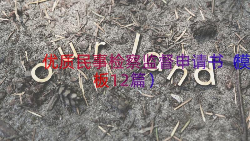 优质民事检察监督申请书（模板12篇）