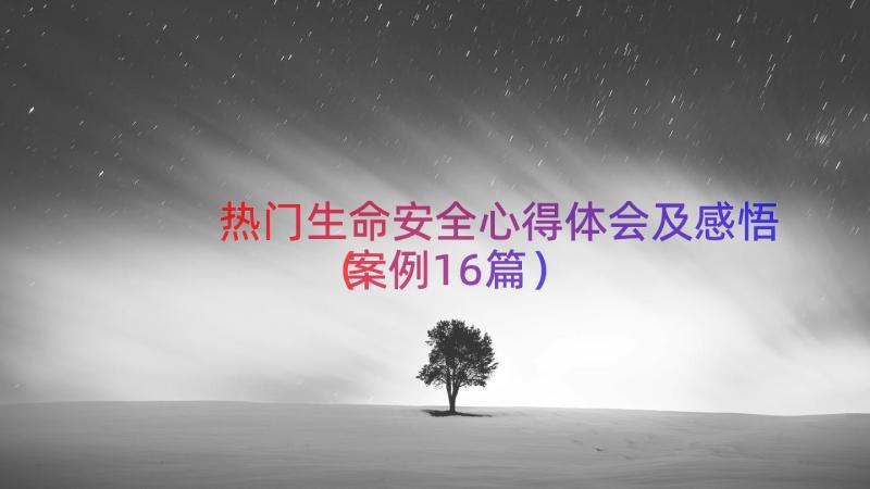 热门生命安全心得体会及感悟（案例16篇）