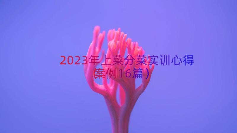 2023年上菜分菜实训心得（案例16篇）