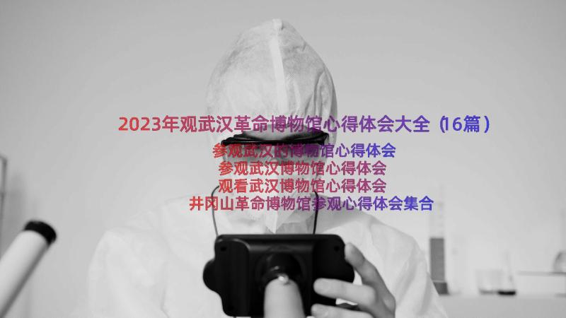 2023年观武汉革命博物馆心得体会大全（16篇）