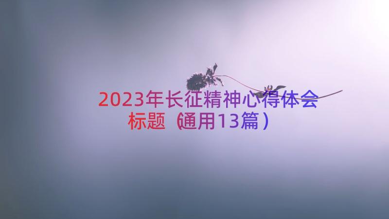 2023年长征精神心得体会标题（通用13篇）