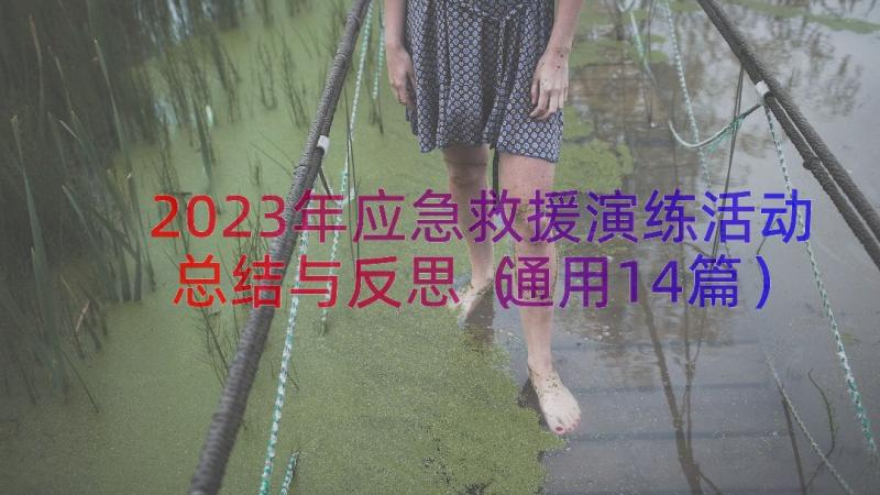 2023年应急救援演练活动总结与反思（通用14篇）