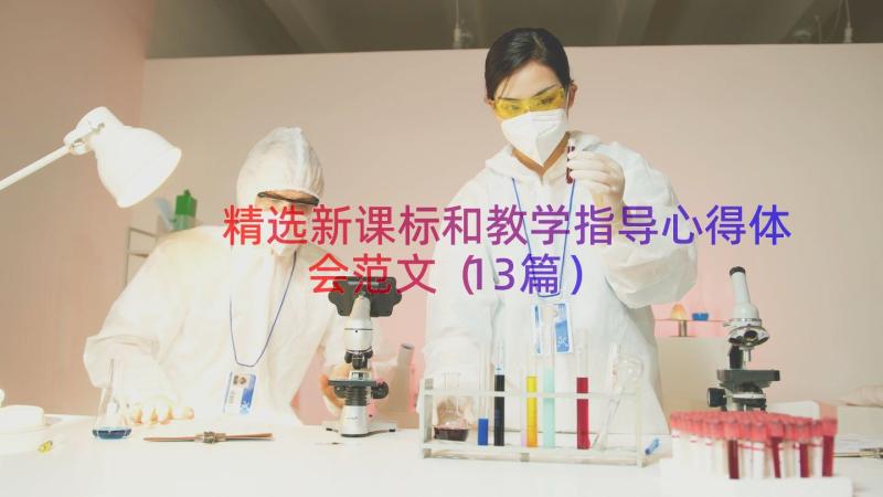 精选新课标和教学指导心得体会范文（13篇）