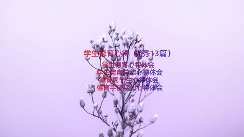 学生德育心得（优秀13篇）