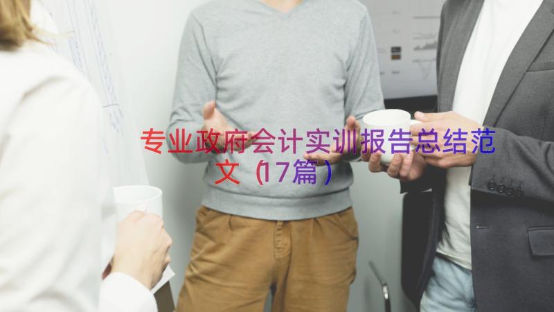 专业政府会计实训报告总结范文（17篇）