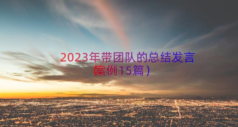 2023年带团队的总结发言（案例15篇）