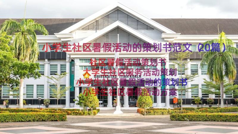 小学生社区暑假活动的策划书范文（20篇）