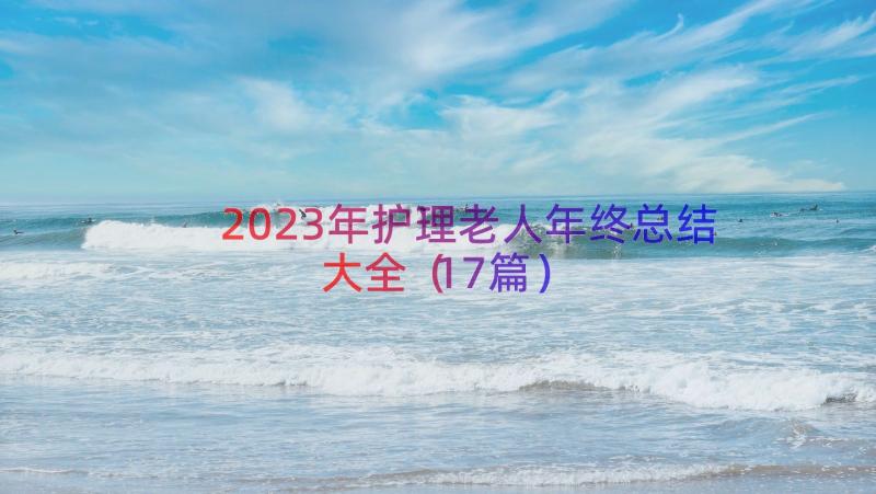 2023年护理老人年终总结大全（17篇）